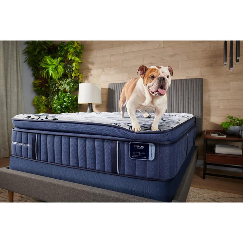 Innerspring Mattresses