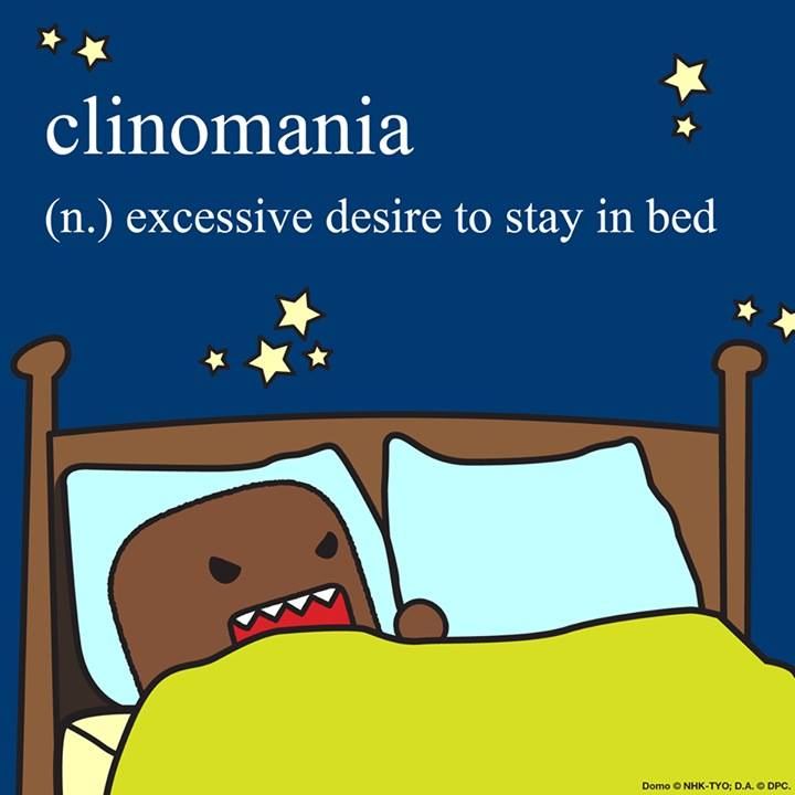 “The Sleep Ecosystem: How to Optimize Your Environment for Better Rest”