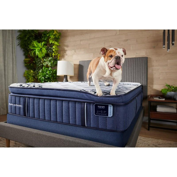 Innerspring Mattresses
