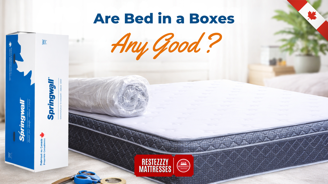 Are Bed in a Boxes Any Good? A Complete Guide Before You Buy