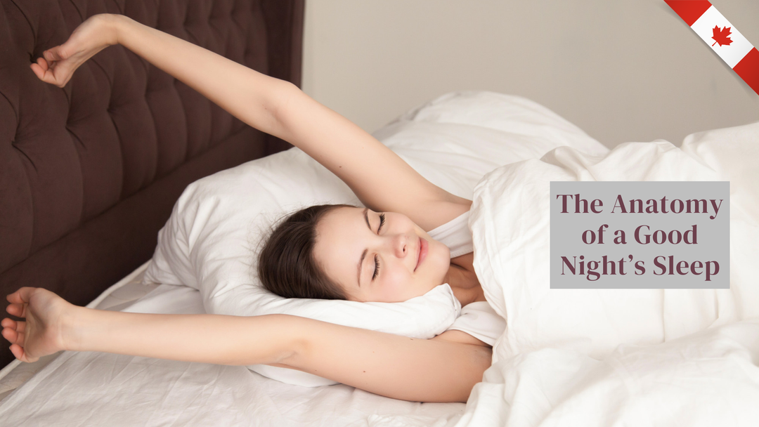 The Anatomy of a Good Night’s Sleep