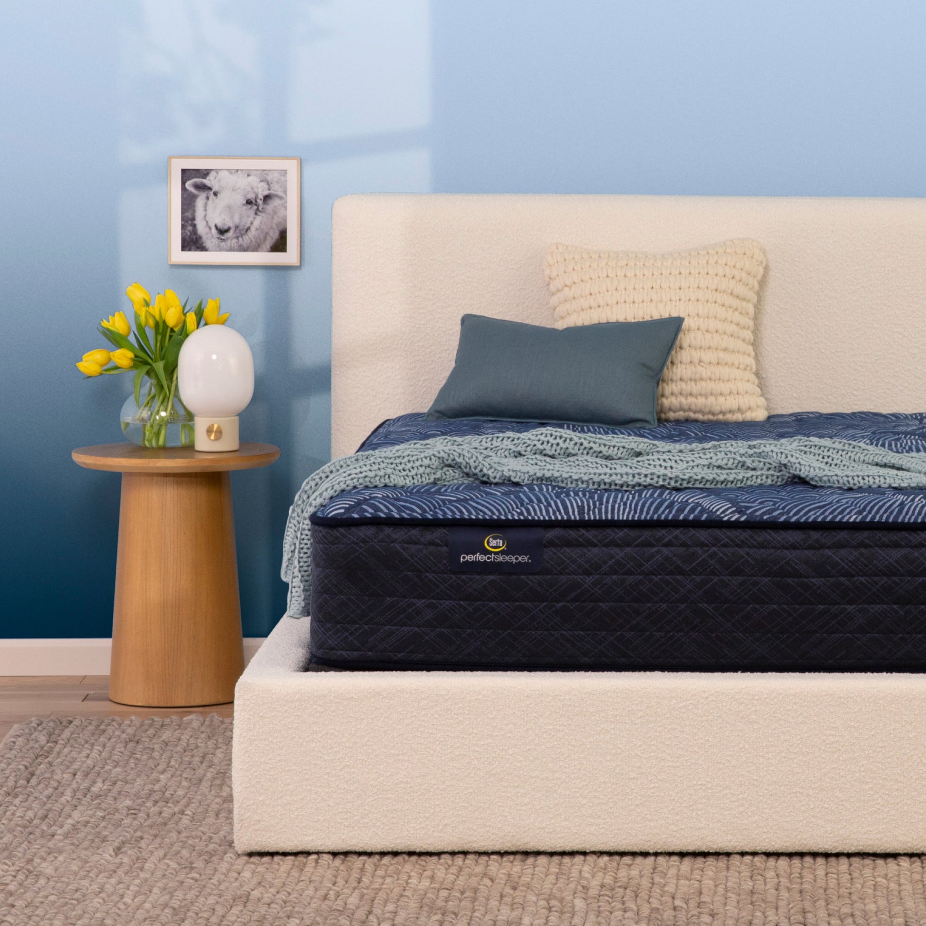 Serta Perfect Sleeper – Prolific Extra Firm – Restezzzy Mattresses