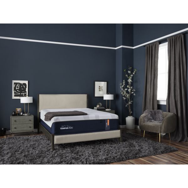 TEMPUR-ProAlign® Series- Firm 12" Memory Foam Mattress - Restezzzy Mattresses Inc.