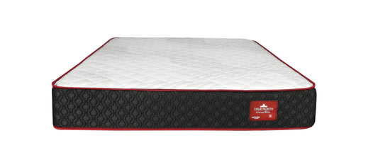 Springwall Argyle Shore 10.5"- Tight Top - Restezzzy Mattresses Inc.