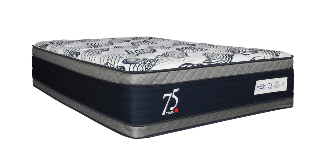 17" Anniversary- Eurotop Medium - Restezzzy Mattresses Inc.