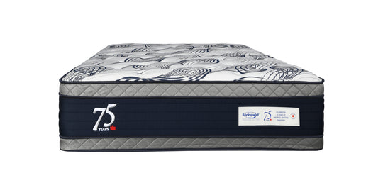 17" Anniversary- Eurotop Medium - Restezzzy Mattresses Inc.