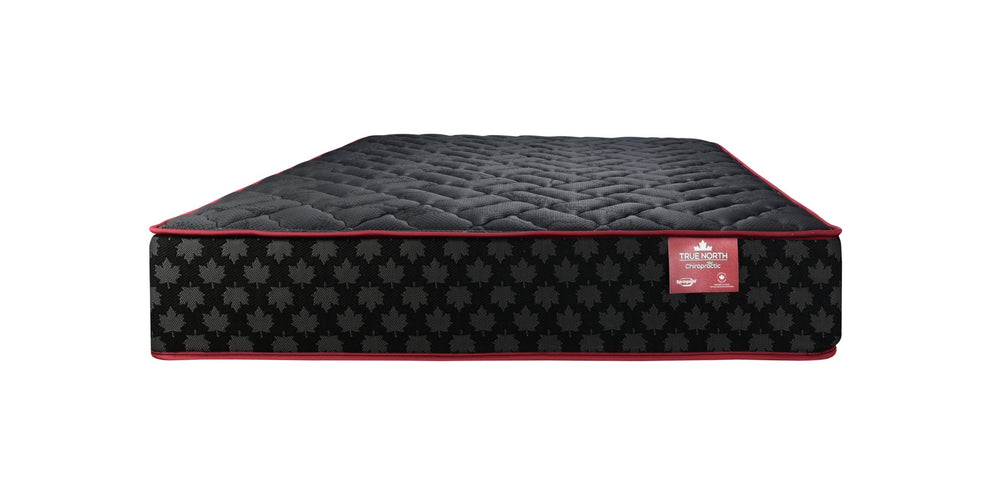 Springwall Chiropractic Argyle Shore Bed in a Box- Tight Top