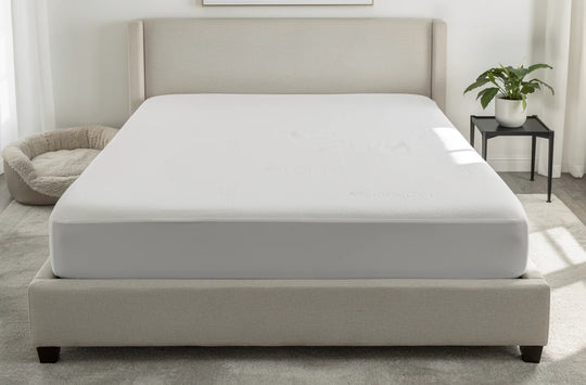 Healthguard Tencel Dream Mattress Protector