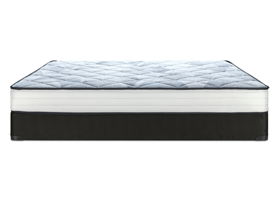 Sealy Teddi Foam Series- Tight Top 8" - Restezzzy Mattresses Inc.