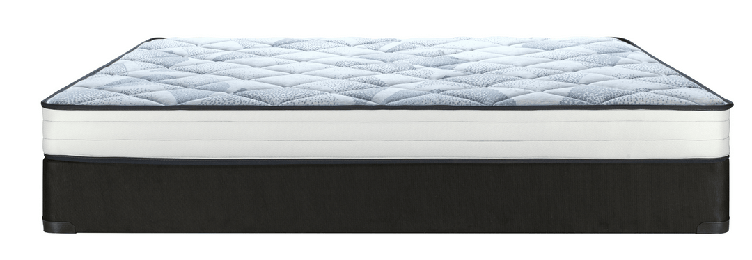 Sealy Jamie Foam Series- Tight Top 6" - Restezzzy Mattresses Inc.