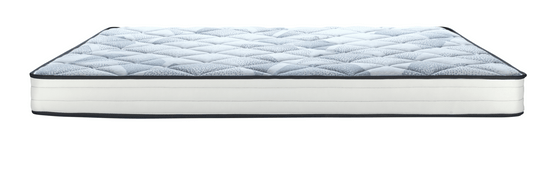 Sealy Jamie Foam Series- Tight Top 6" - Restezzzy Mattresses Inc.