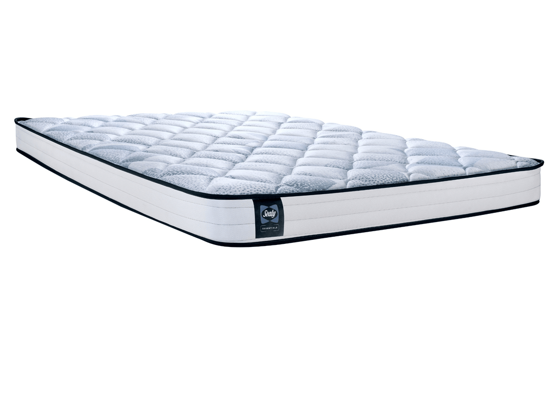 Sealy Jamie Foam Series- Tight Top 6" - Restezzzy Mattresses Inc.