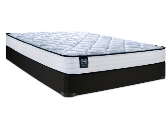 Sealy Teddi Foam Series- Tight Top 8" - Restezzzy Mattresses Inc.