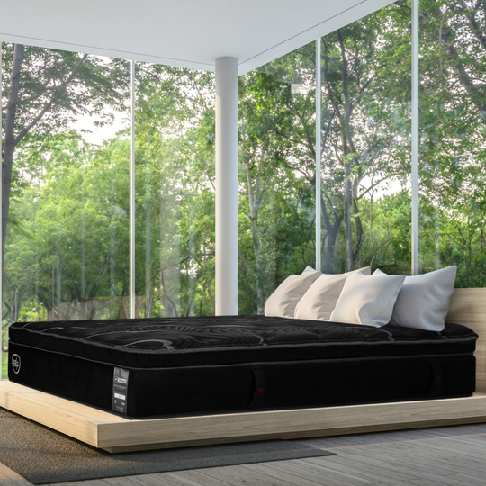 Springwall Elite H2 Chiropractic® Peerless 16" Pillow Top - Restezzzy Mattresses Inc.