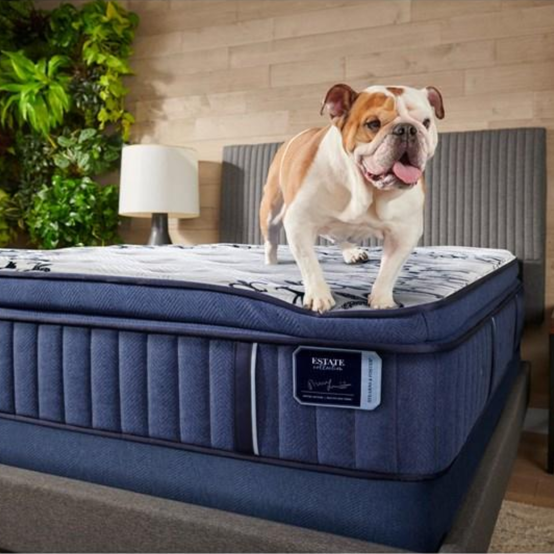 Stearns & Foster Estate Collection Mon Cheri- Luxury Cushion Firm Mattress - Restezzzy Mattresses Inc.